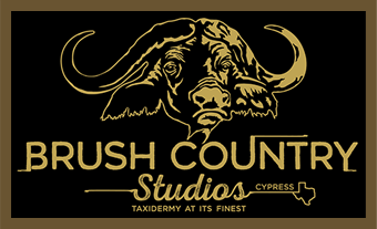 Brush Country